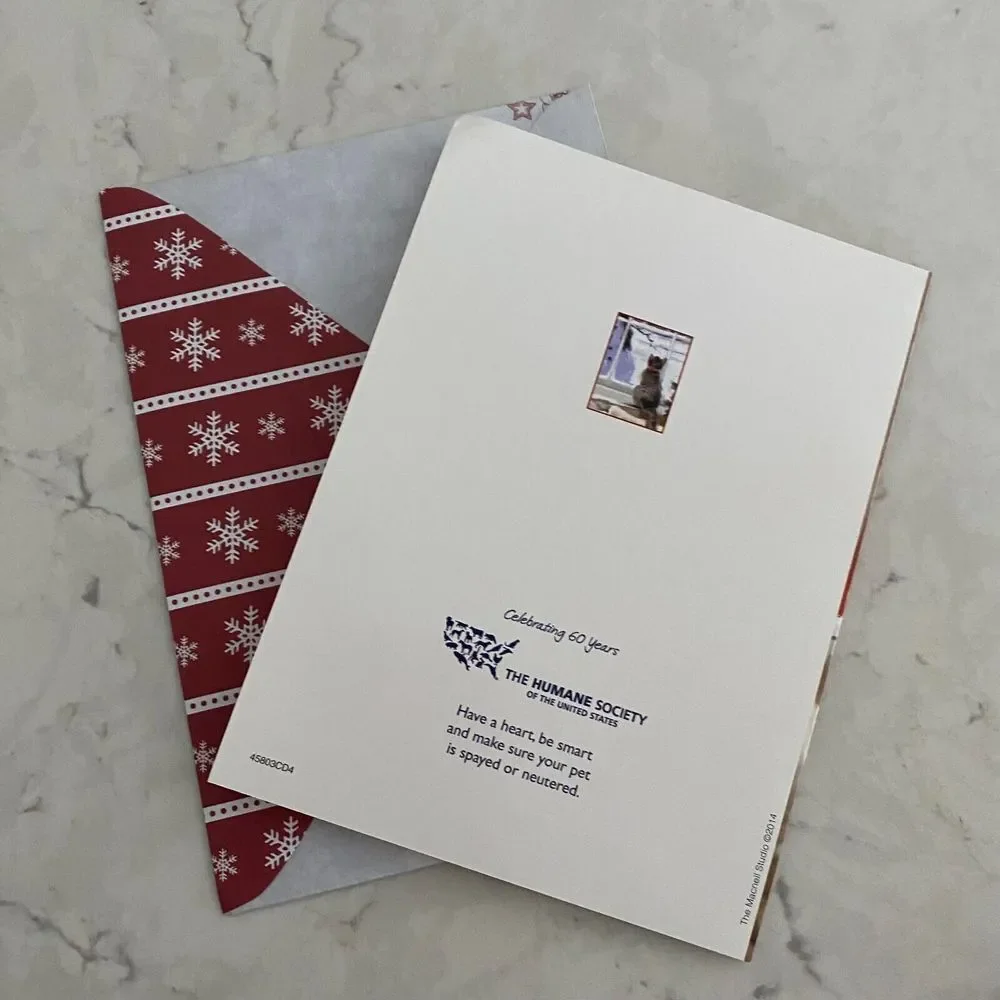 Christmas Greetings Card Cat Watching Snowman Warm Holiday Wishes Humane Society - Picture 3 of 4